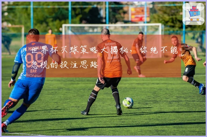 世界杯买球策略大揭秘，你绝不能忽视的投注思路