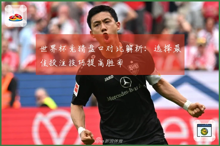世界杯竞猜盘口对比解析：选择最佳投注技巧提高胜率