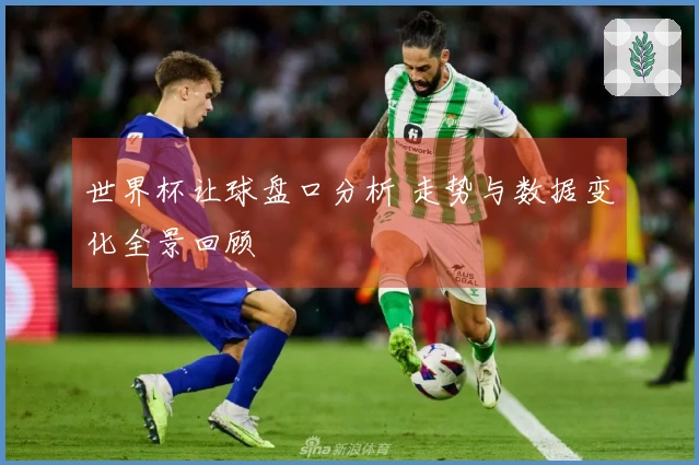 世界杯让球盘口分析 走势与数据变化全景回顾