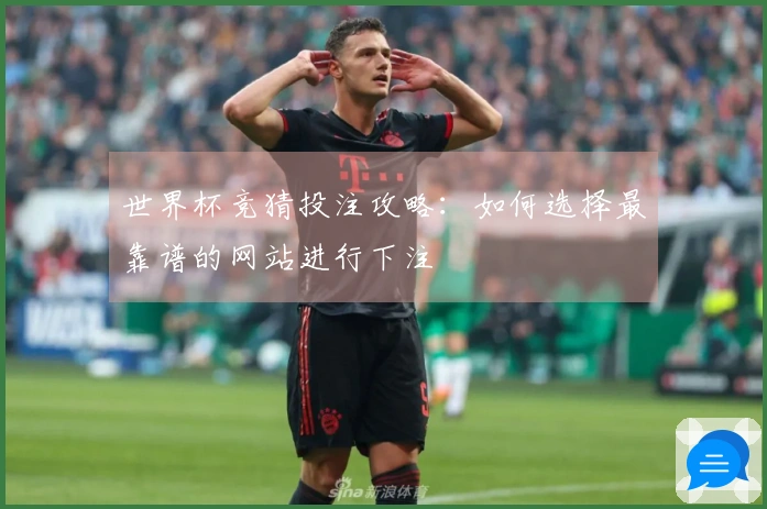世界杯竞猜投注攻略：如何选择最靠谱的网站进行下注