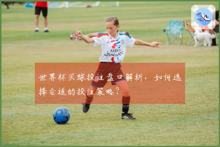 世界杯买球投注盘口解析，如何选择合适的投注策略？